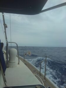 An IOF ship